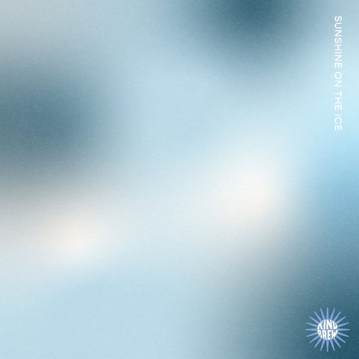 Album cover of Sunshine On The Ice