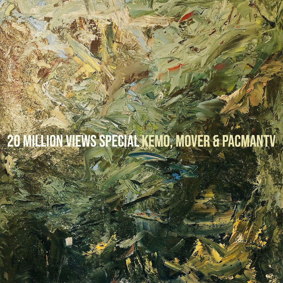 Album cover of 20 Million Views Special