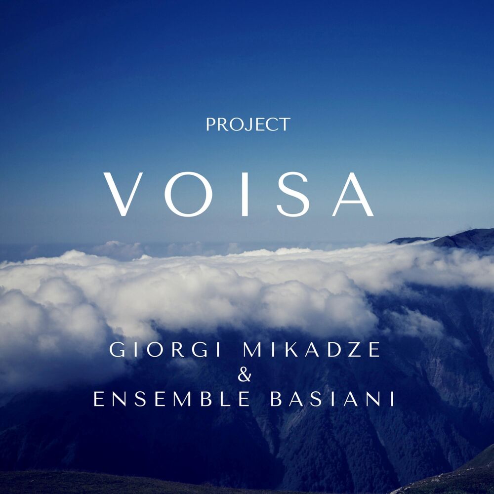 Picture of Voisa