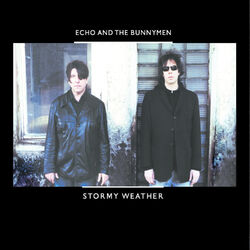Cover of Stormy Weather