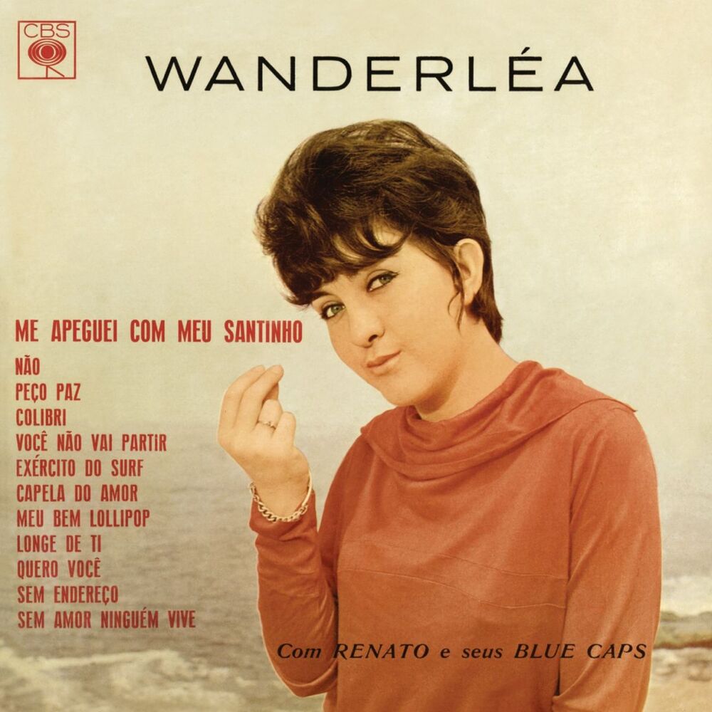Picture of Wanderléa