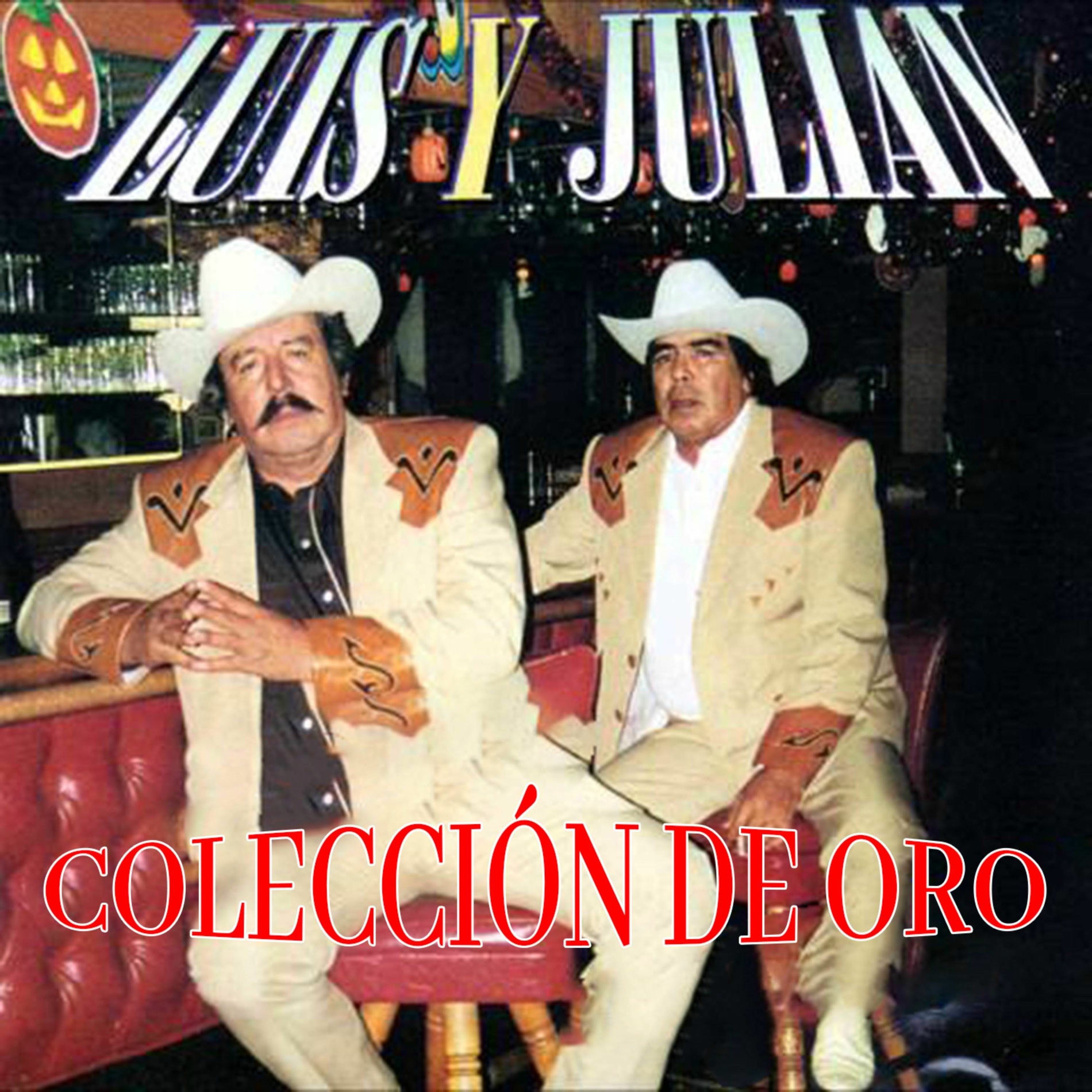 Album cover of Colección de Oro