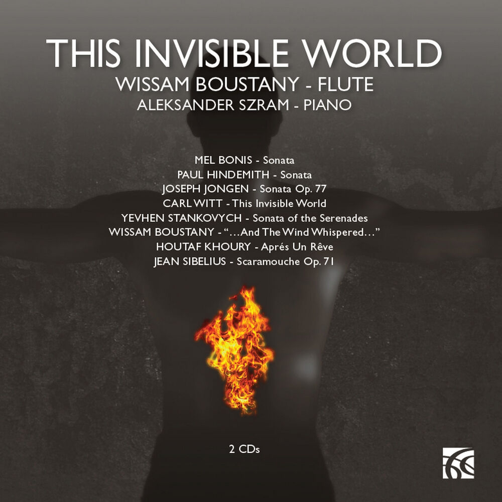 Picture of This Invisible World