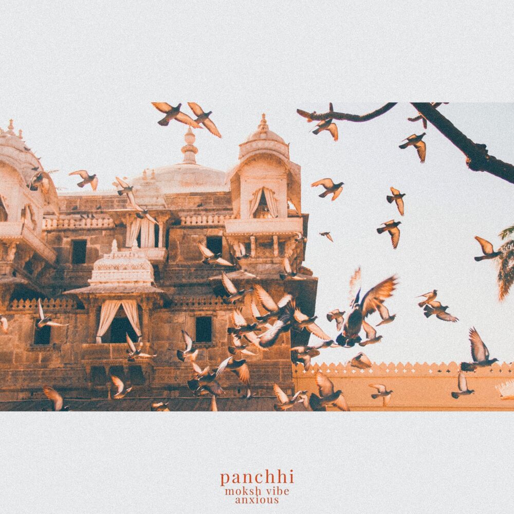 Picture of panchhi