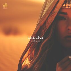 Cover of Lost Love