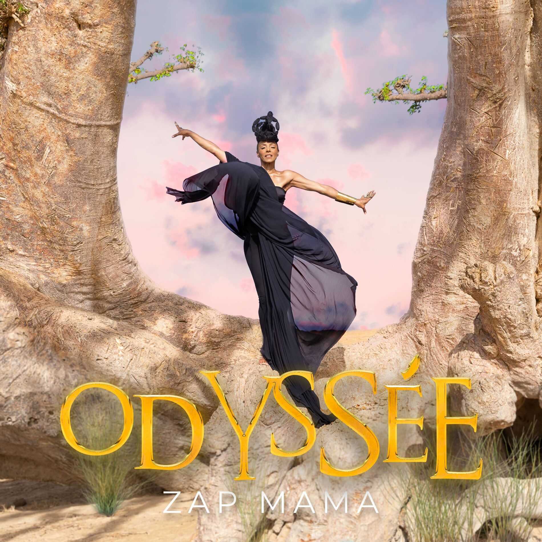 Album cover of Odyssée