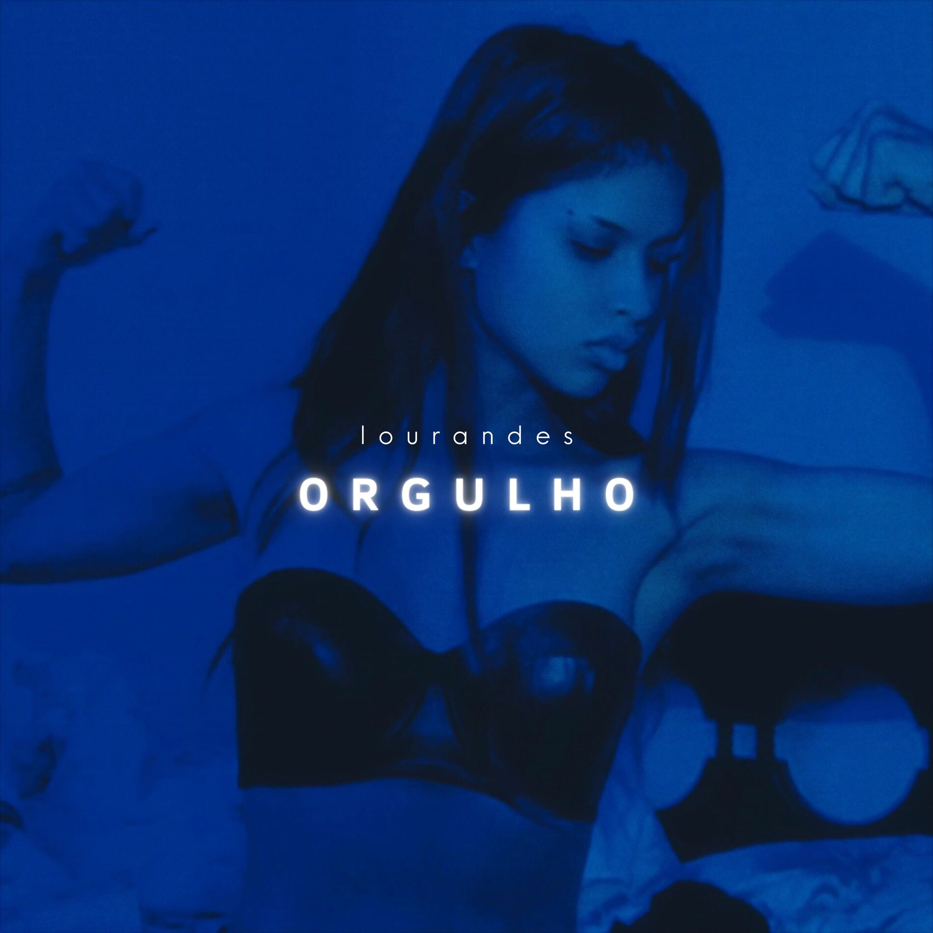 Album cover of Orgulho