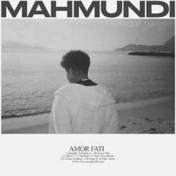 Cover of Amor Fati