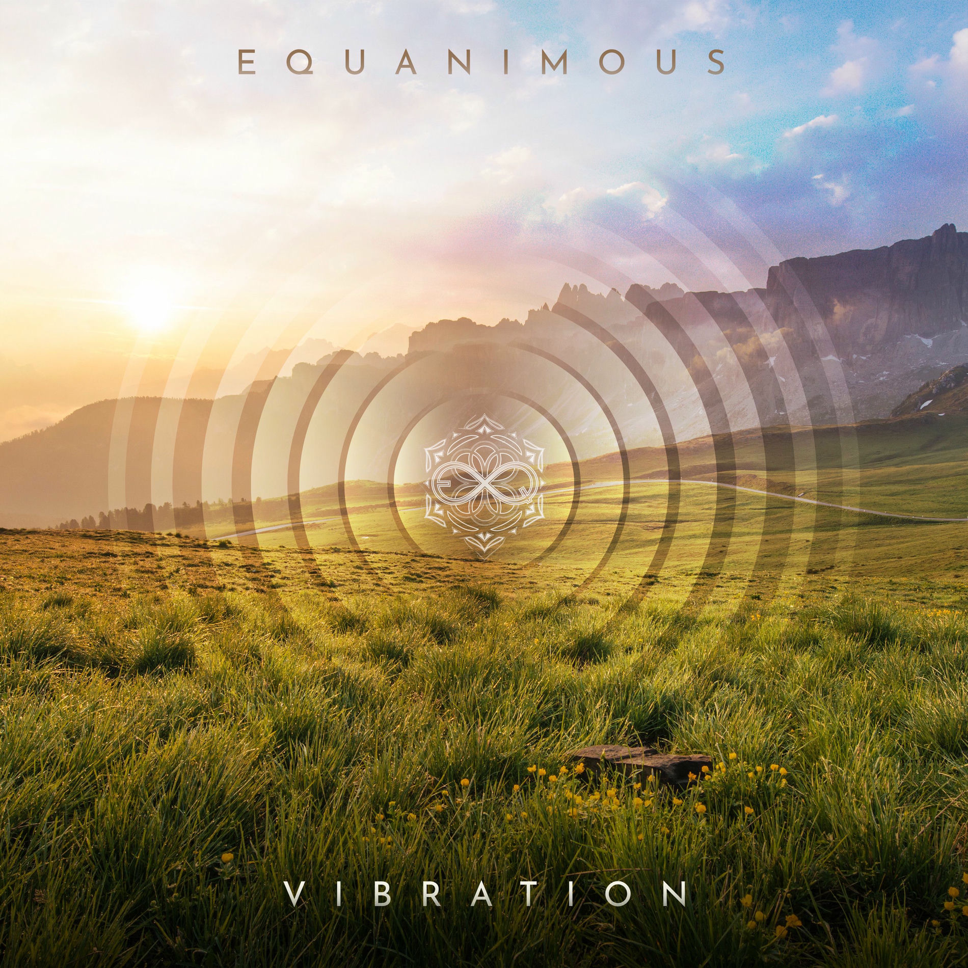 Album cover of Vibration