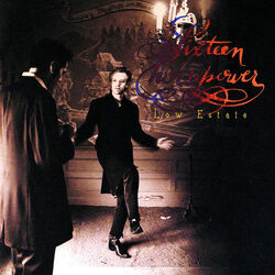 Cover of Low Estate