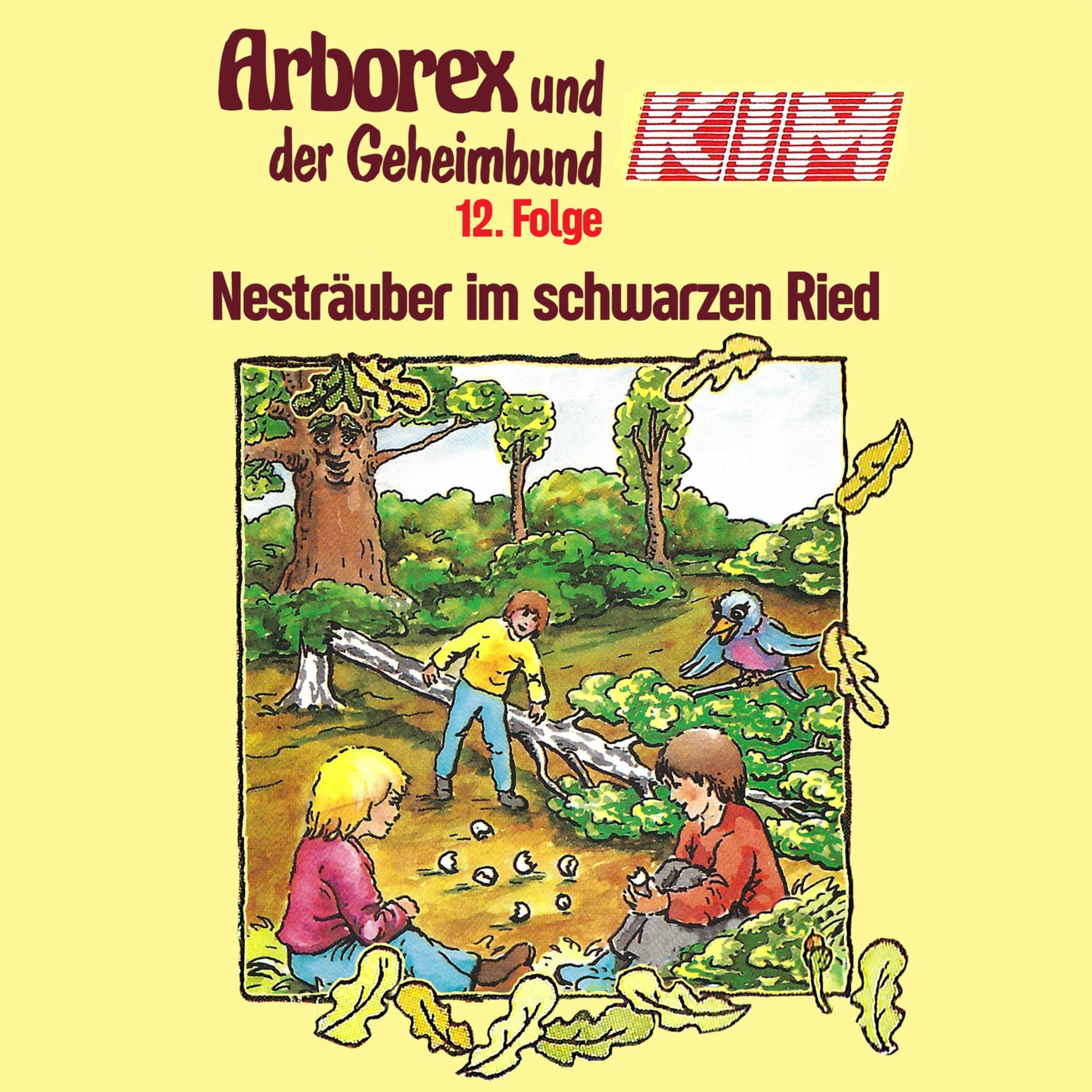 Album cover of 12: Nesträuber im schwarzen Ried
