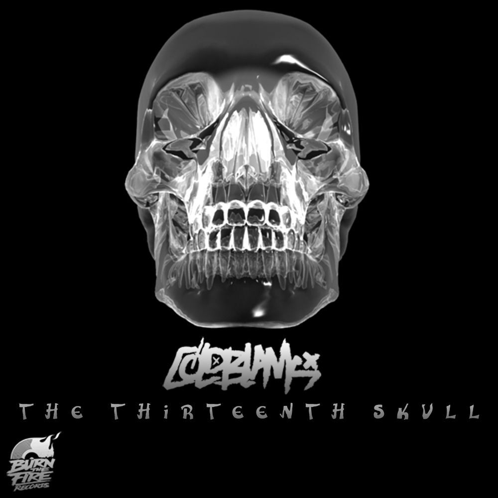 Picture of The Thirteenth Skull