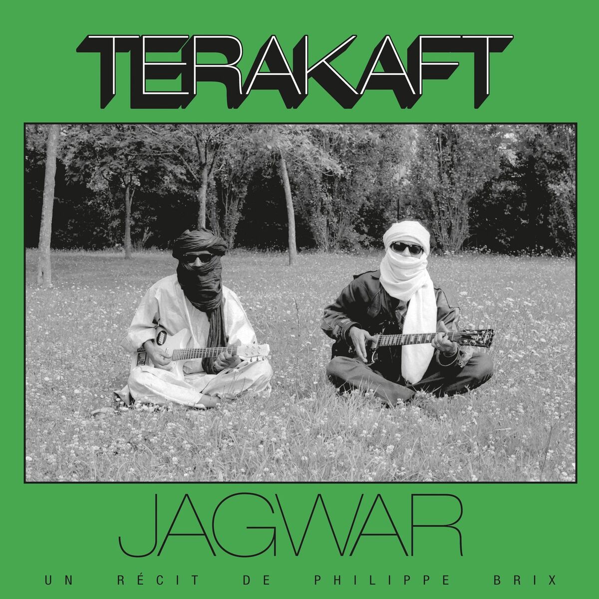 Album cover of Jagwar