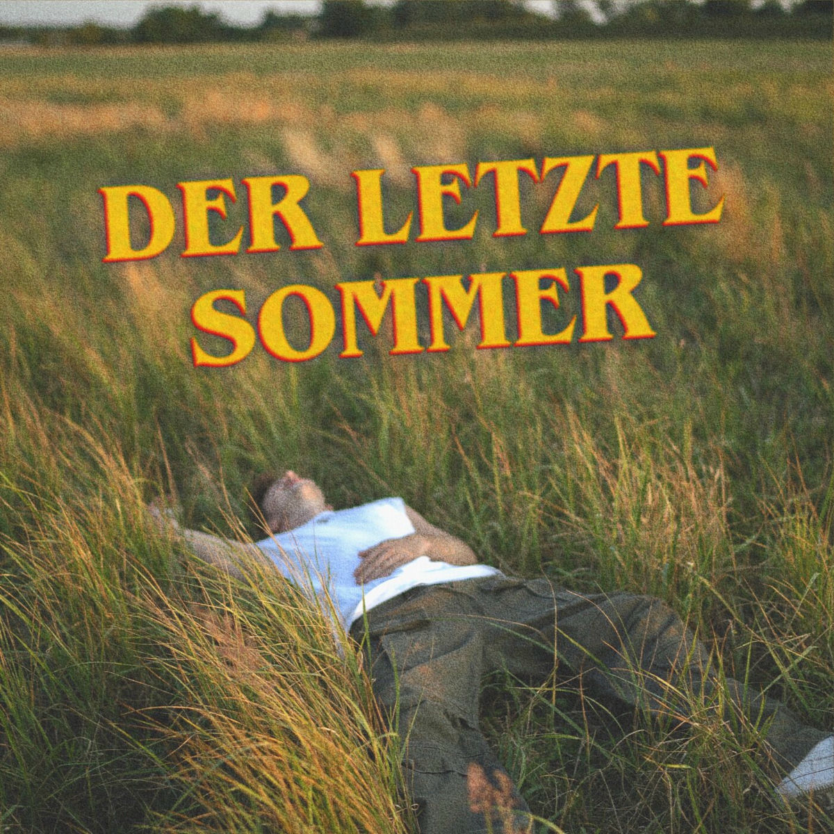 Album cover of Der Letzte Sommer