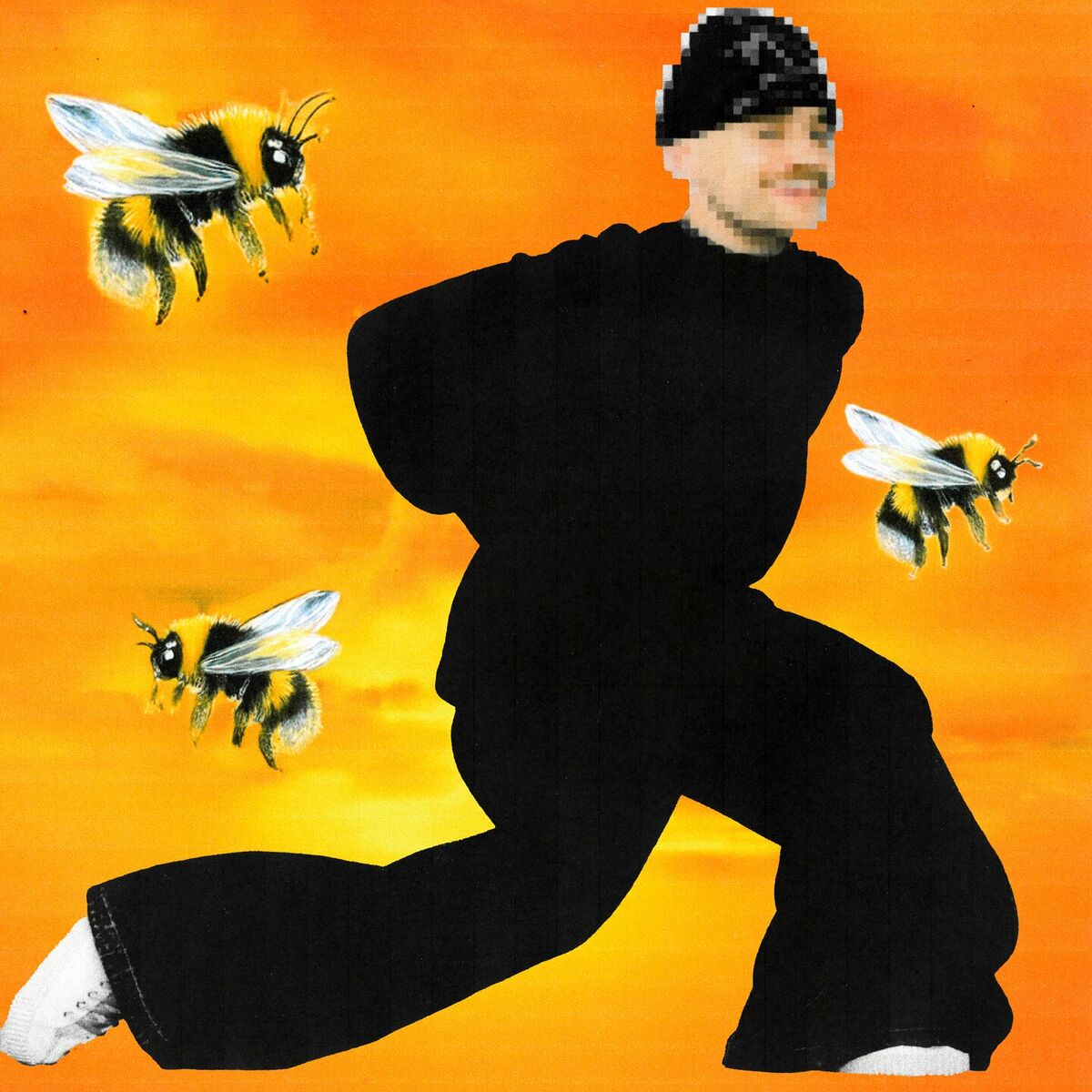 Album cover of Bienenstich