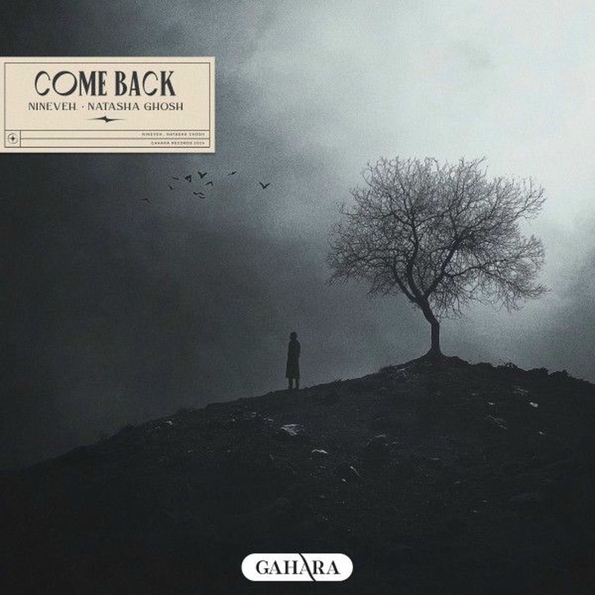 Album cover of Come Back