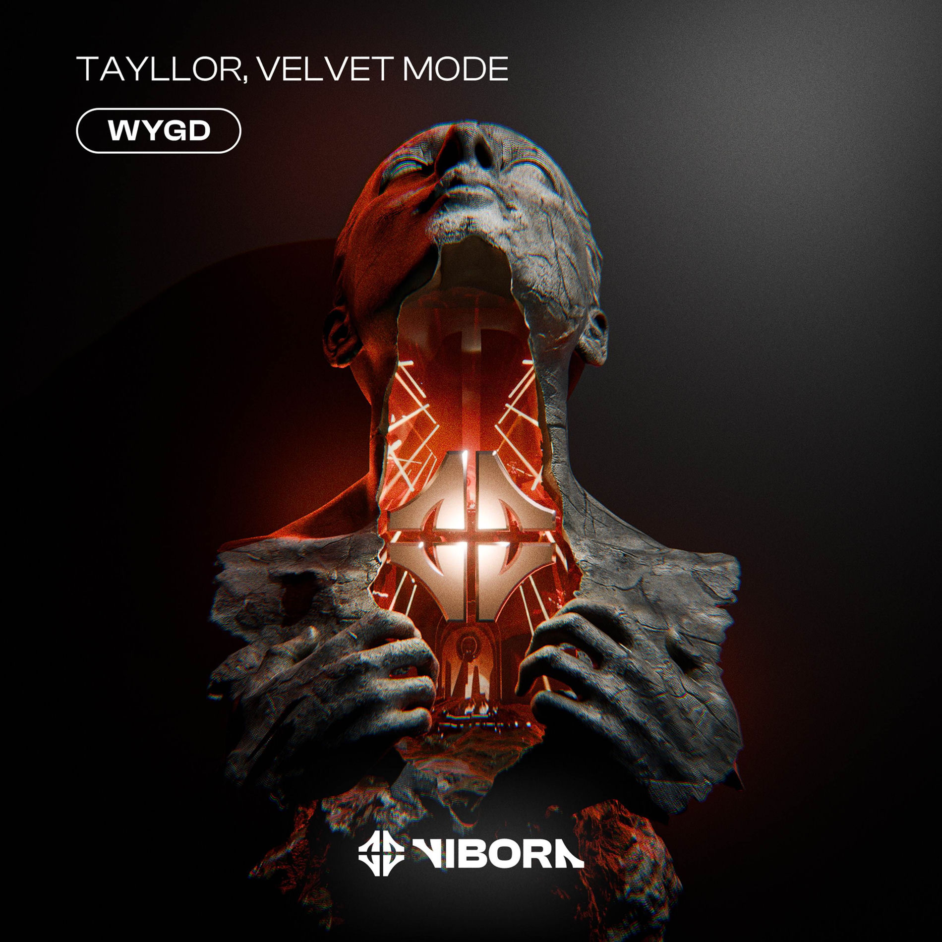 Album cover of WYGD