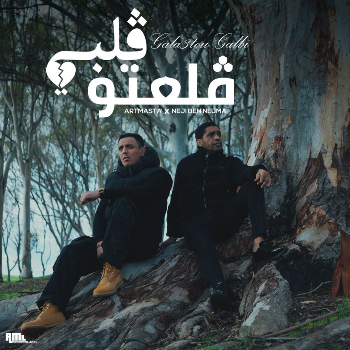 Album cover of Gala3tou Galbi