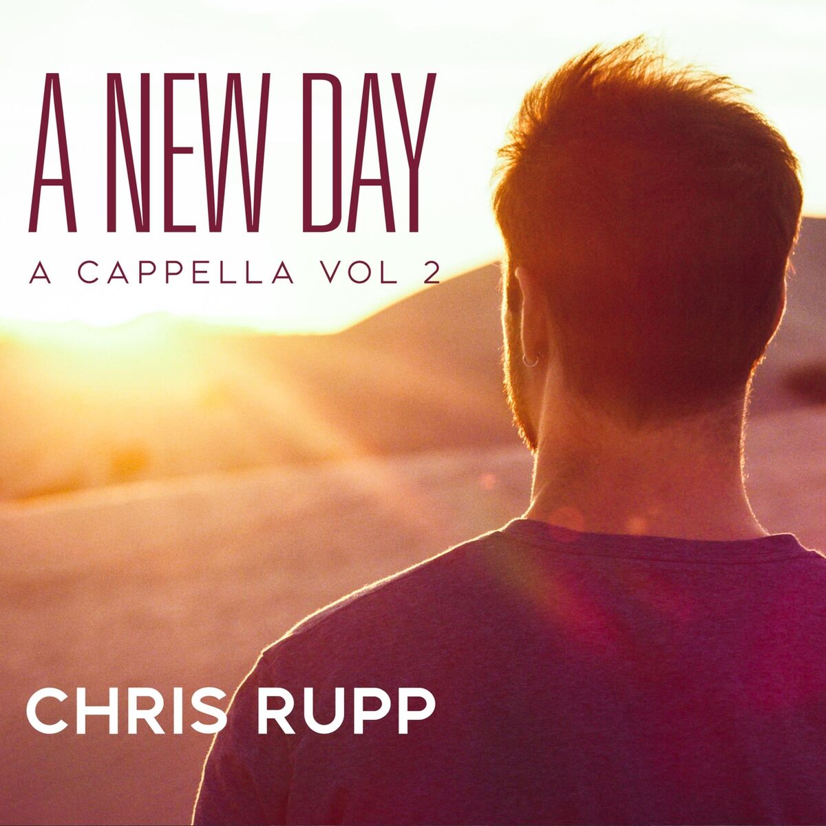 Album cover of A New Day: A Cappella, Vol. II