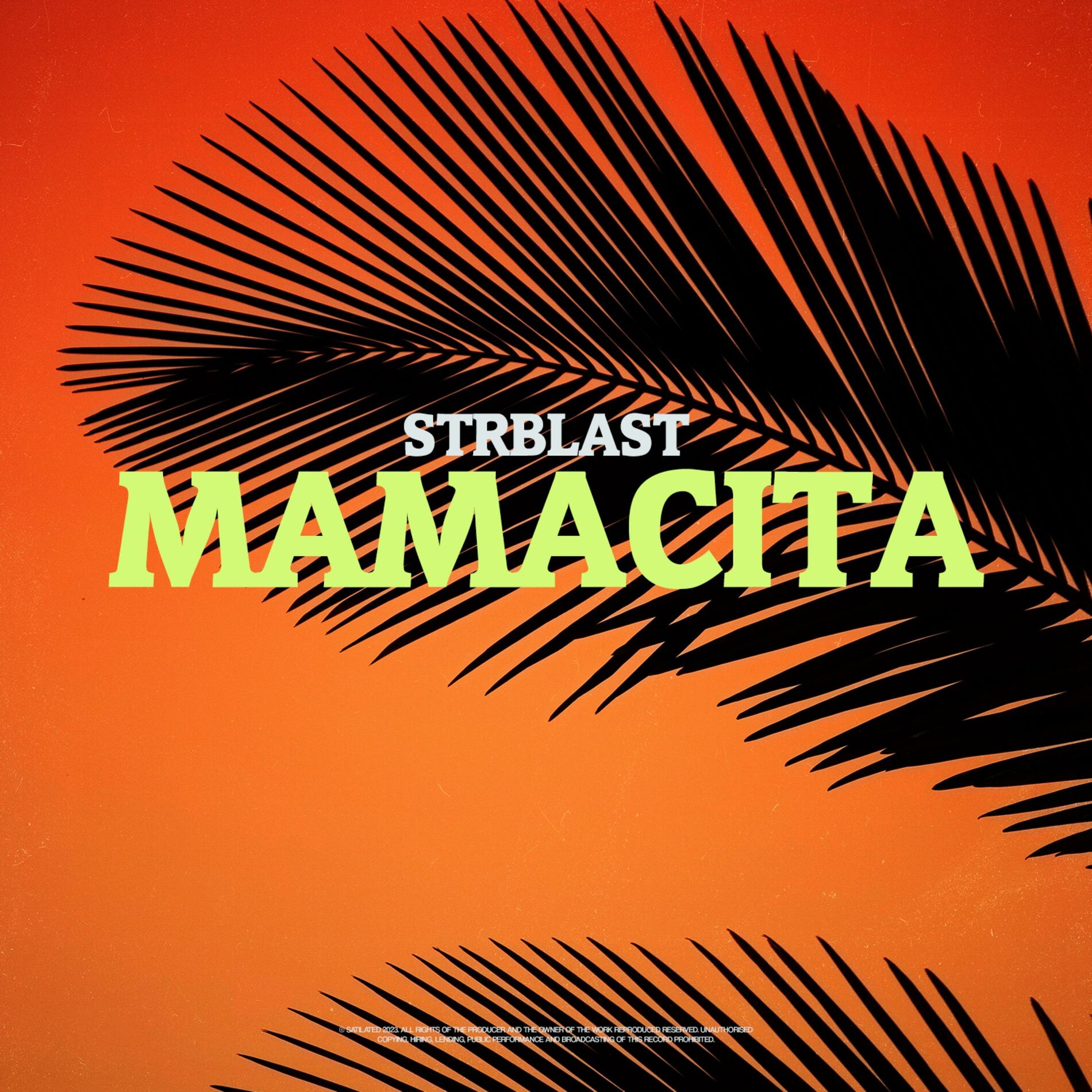 Album cover of Mamacita