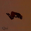 Qui 2