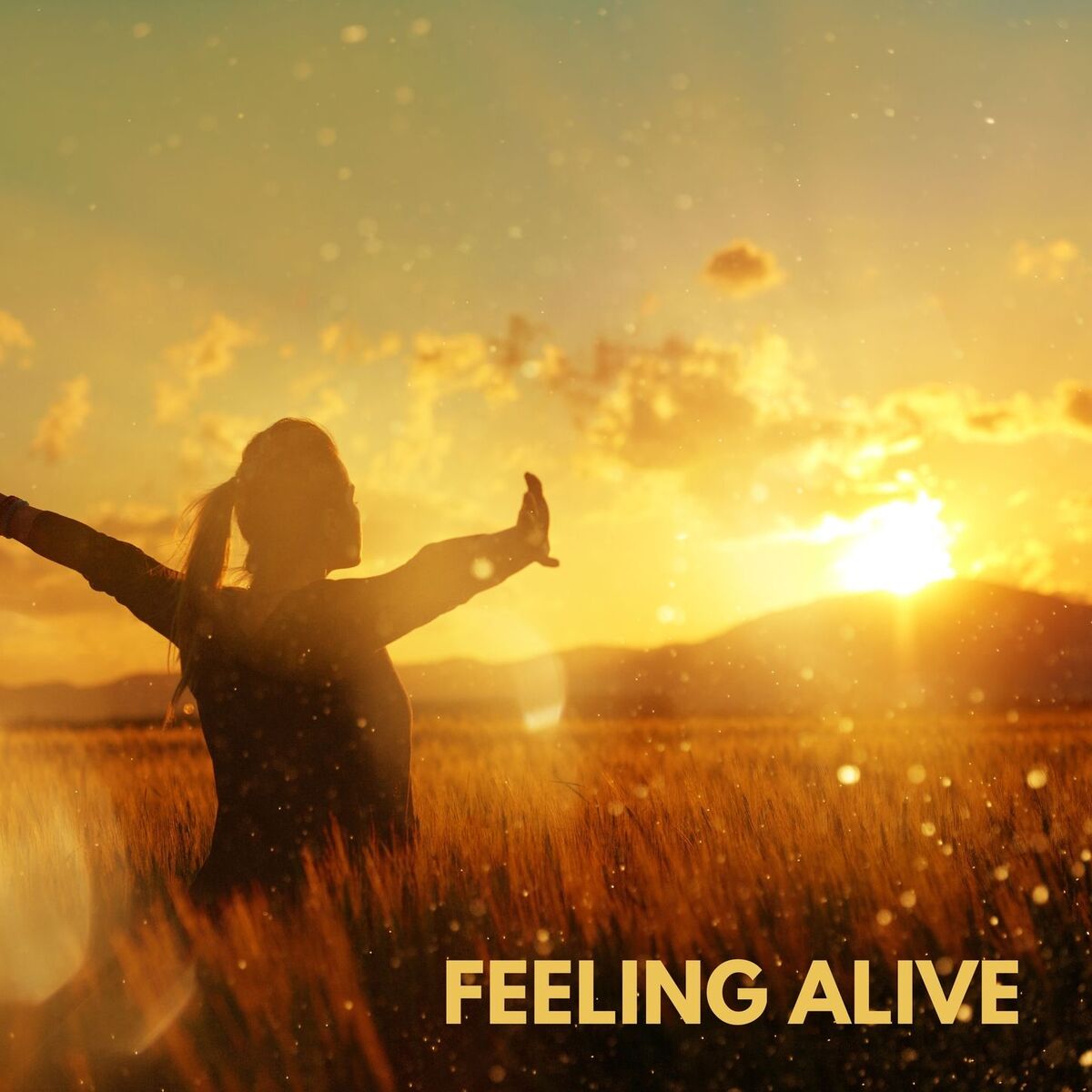 Album cover of Feeling Alive