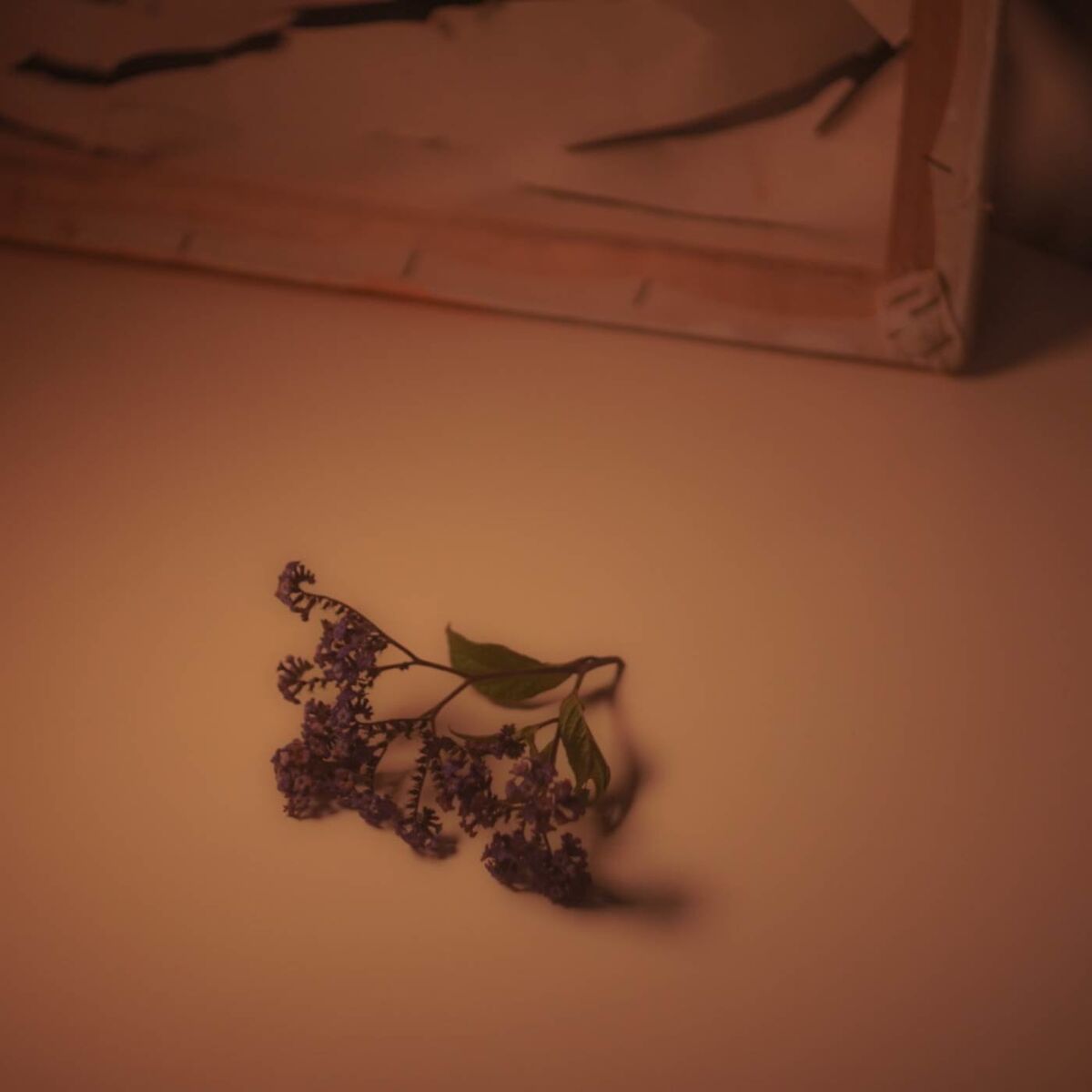 Album cover of Pulsión