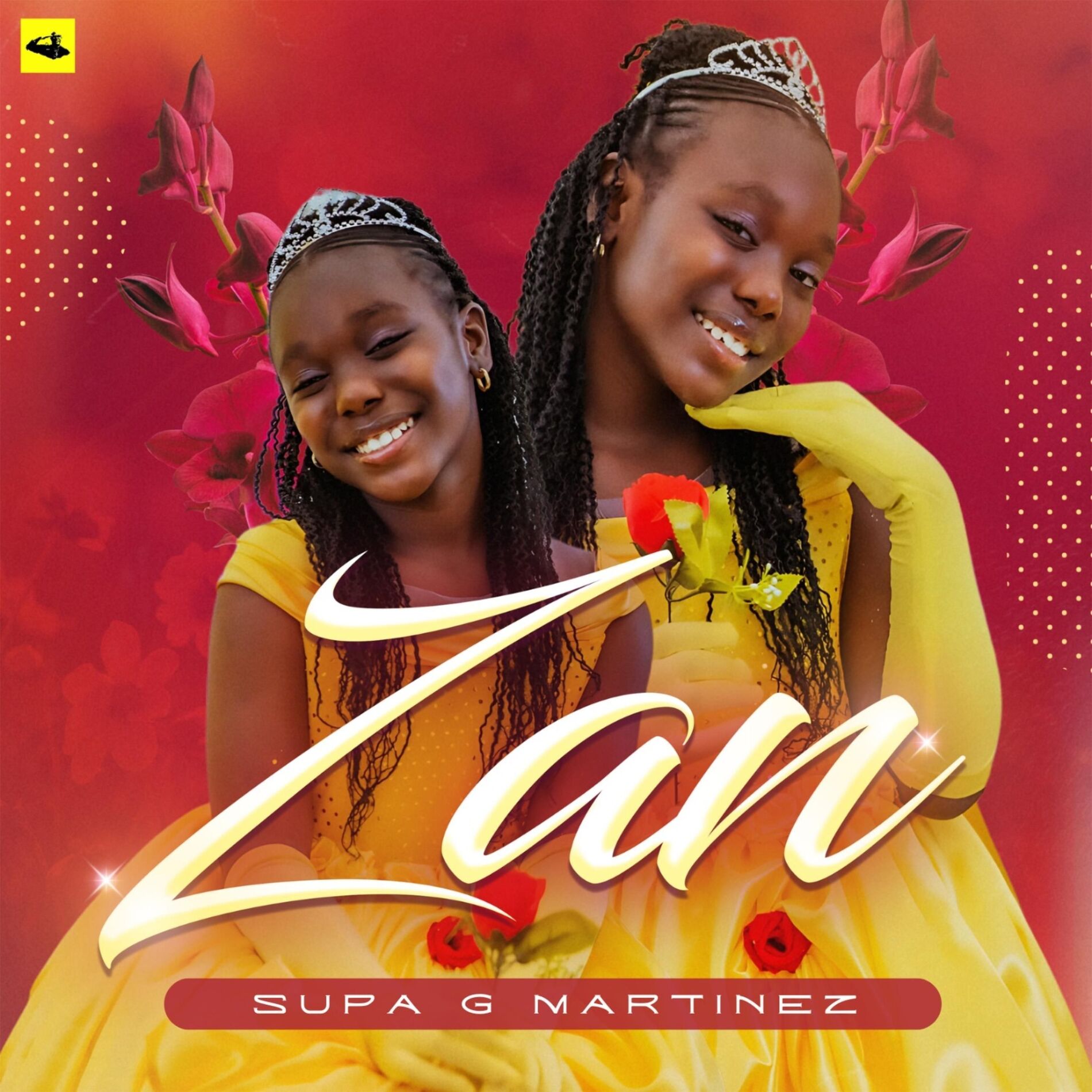 Album cover of Zan