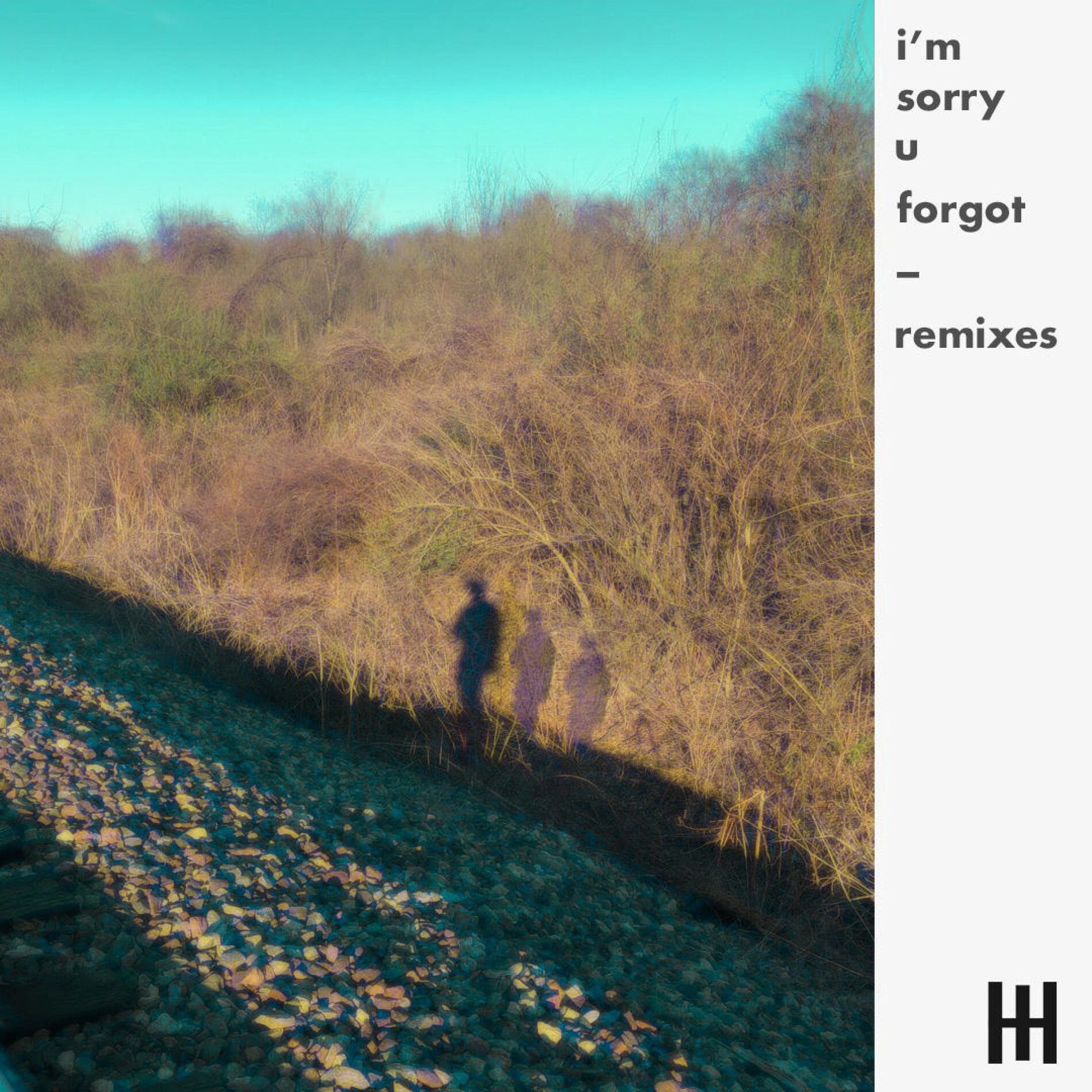 Album cover of i'm sorry u forgot remixes