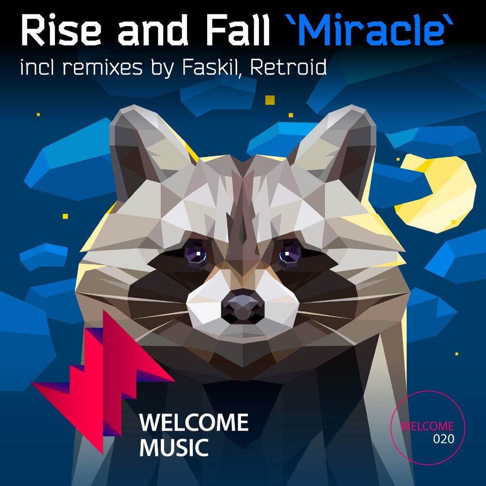 Picture of Miracle