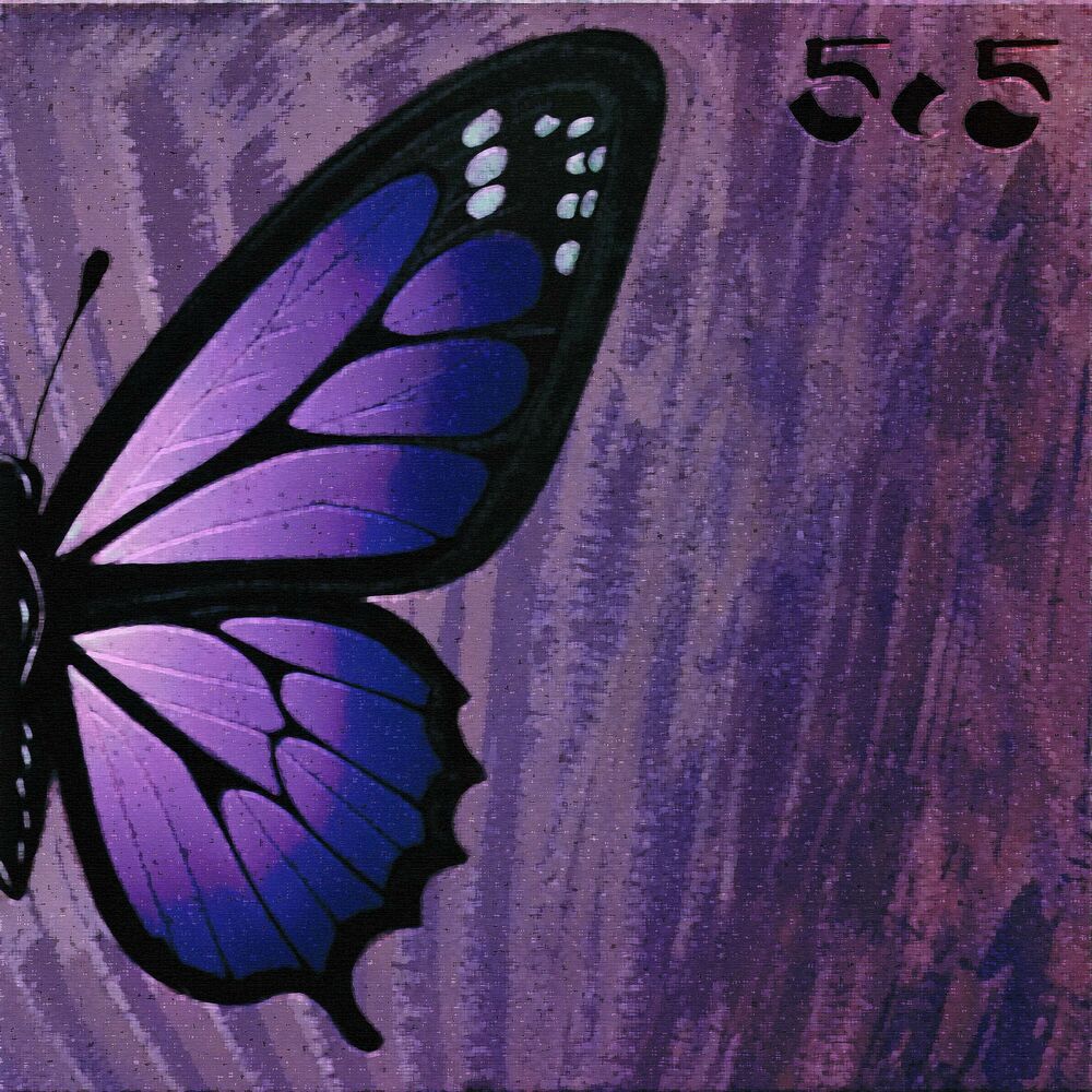 Picture of 5,5