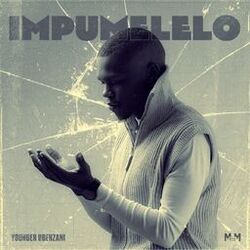 Cover of Amandla aphelile