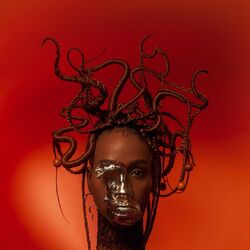 Cover of Urucum