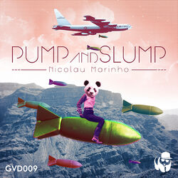 Cover of Pump and Slump