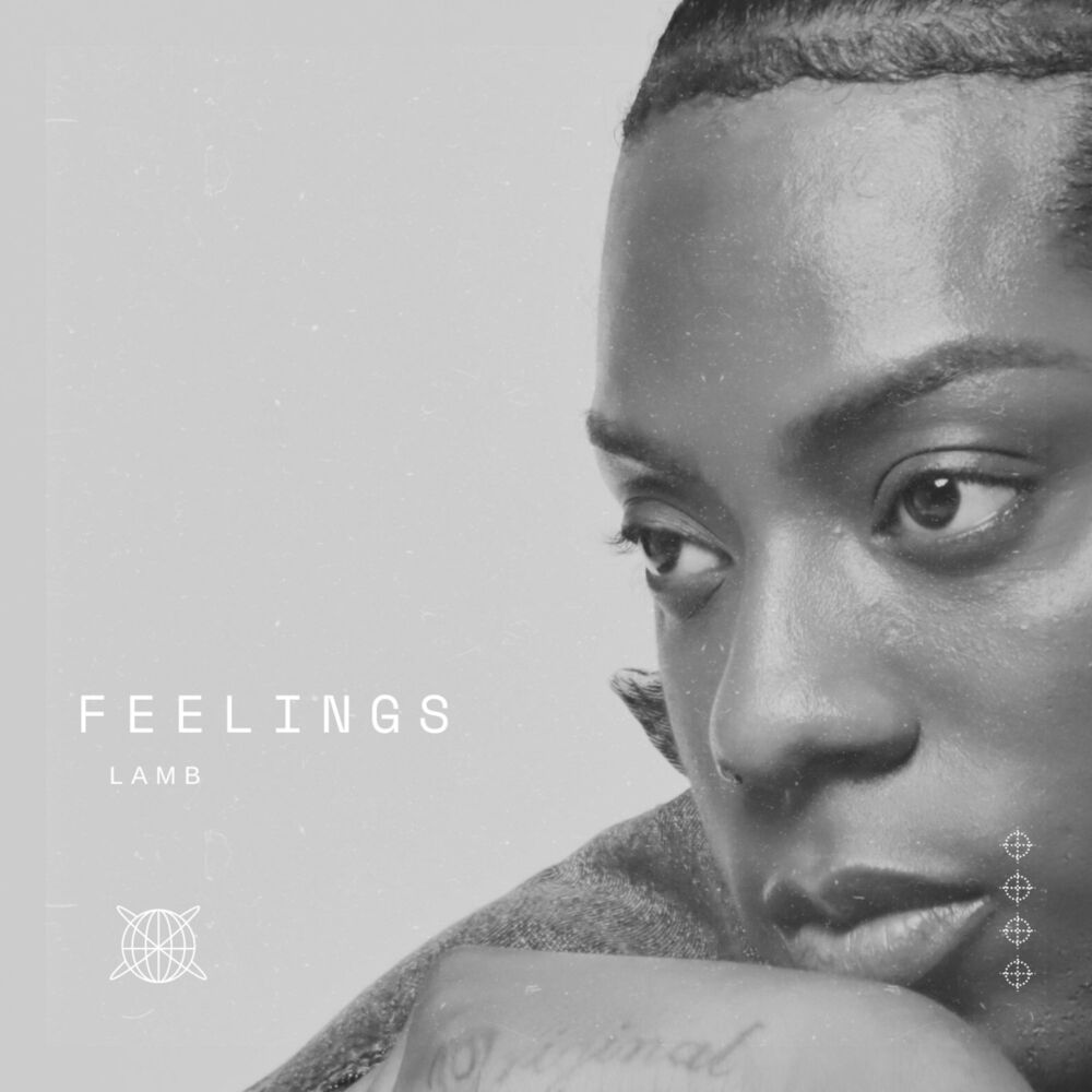 Picture of FEELINGS
