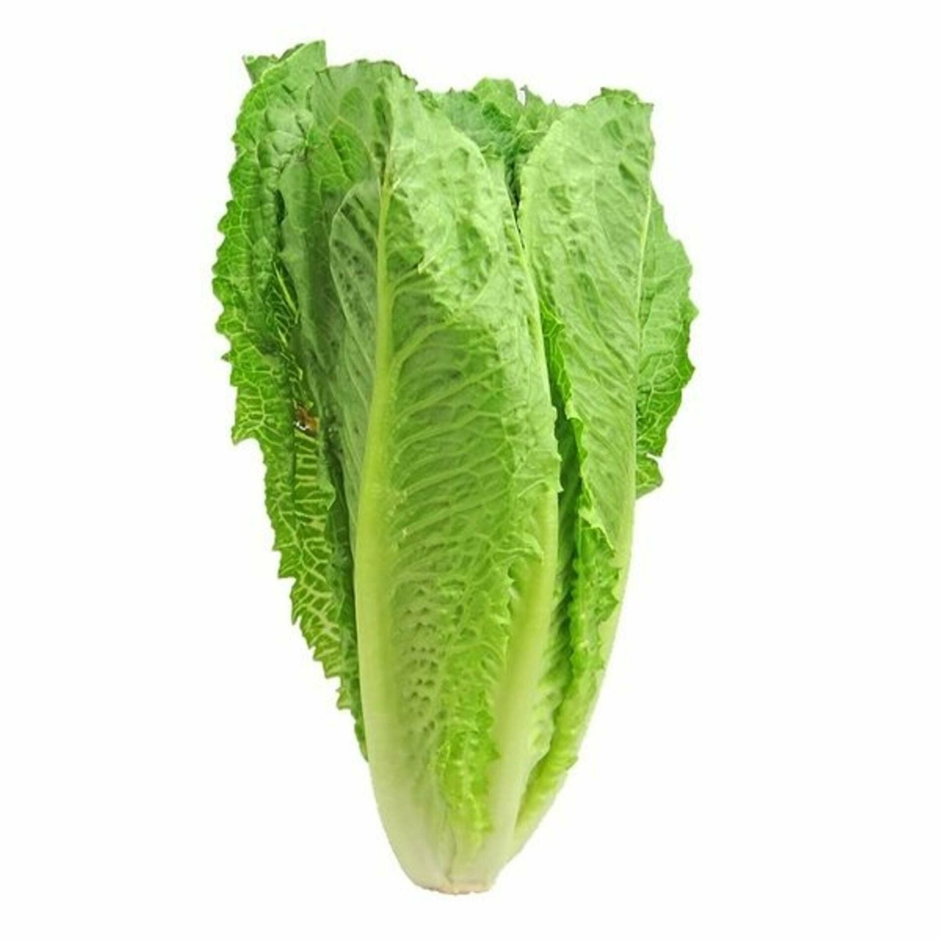 Album cover of compra lechuga (feat. galin)