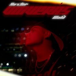 Cover of Volveras