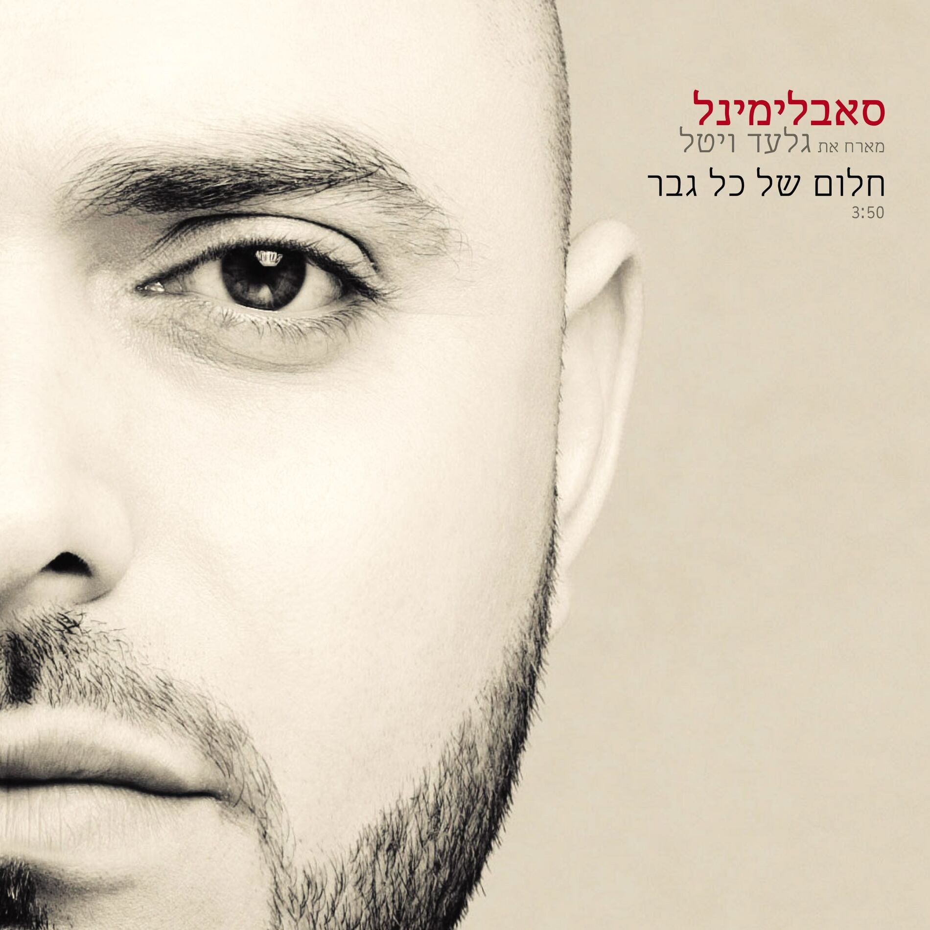 Album cover of חלום של כל גבר