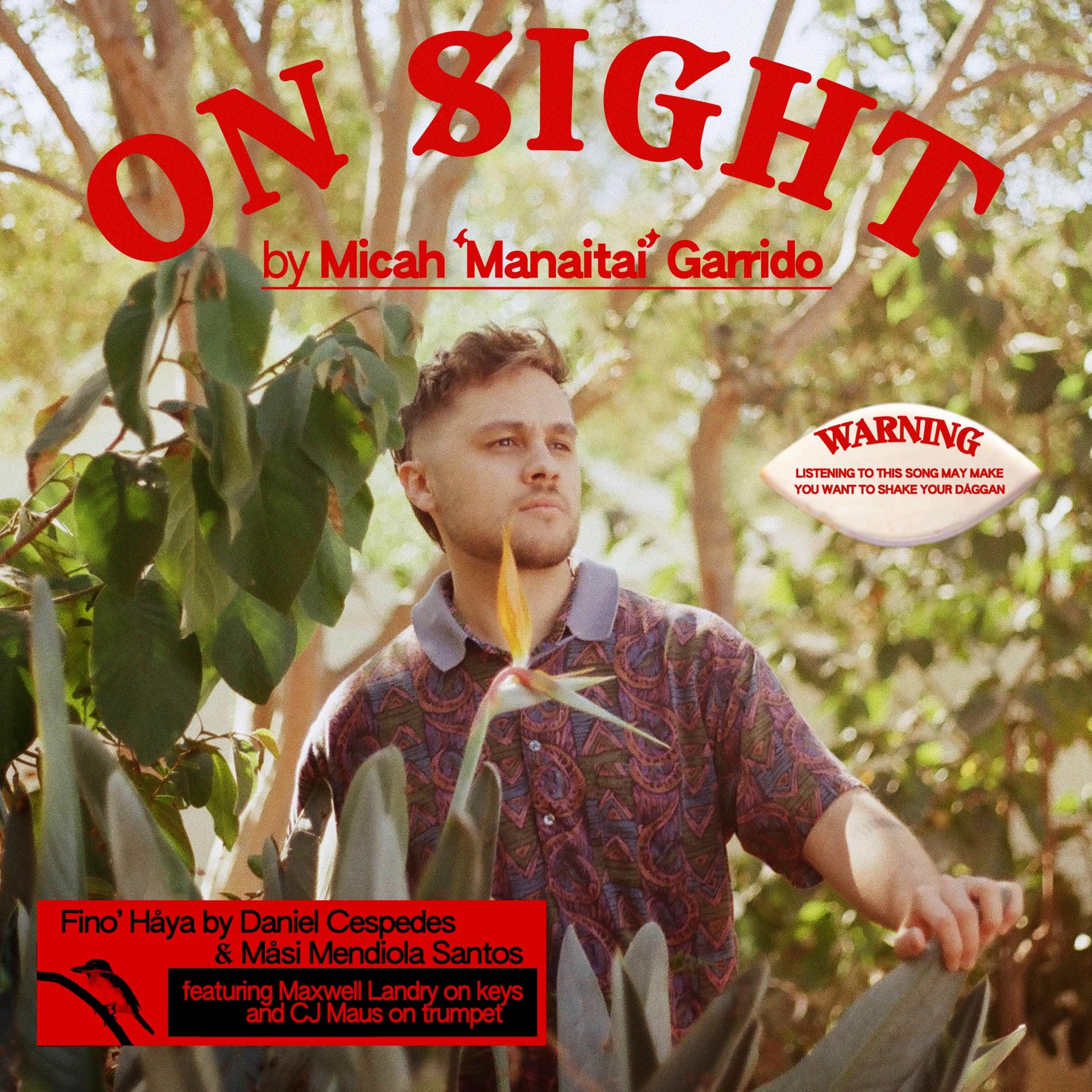 Album cover of On Sight