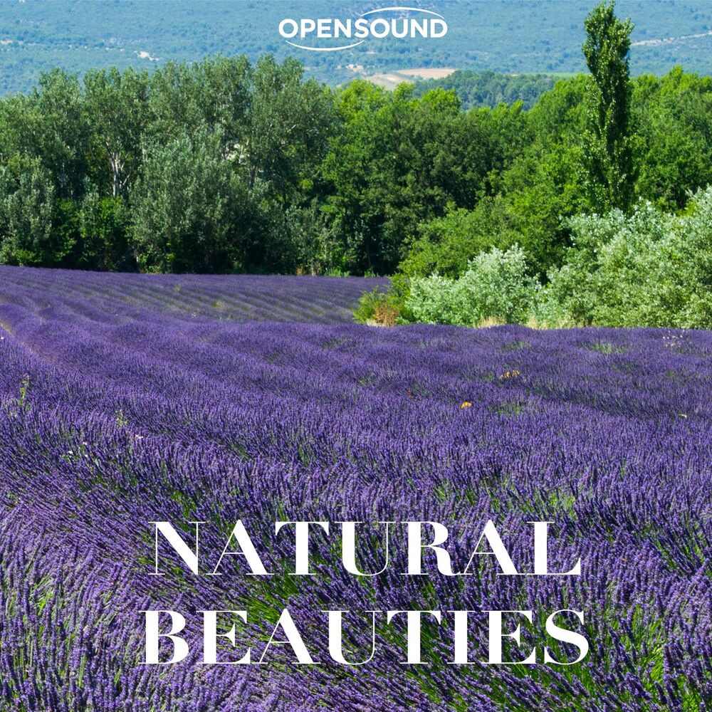 Picture of Natural Beauties (Music for Movie)