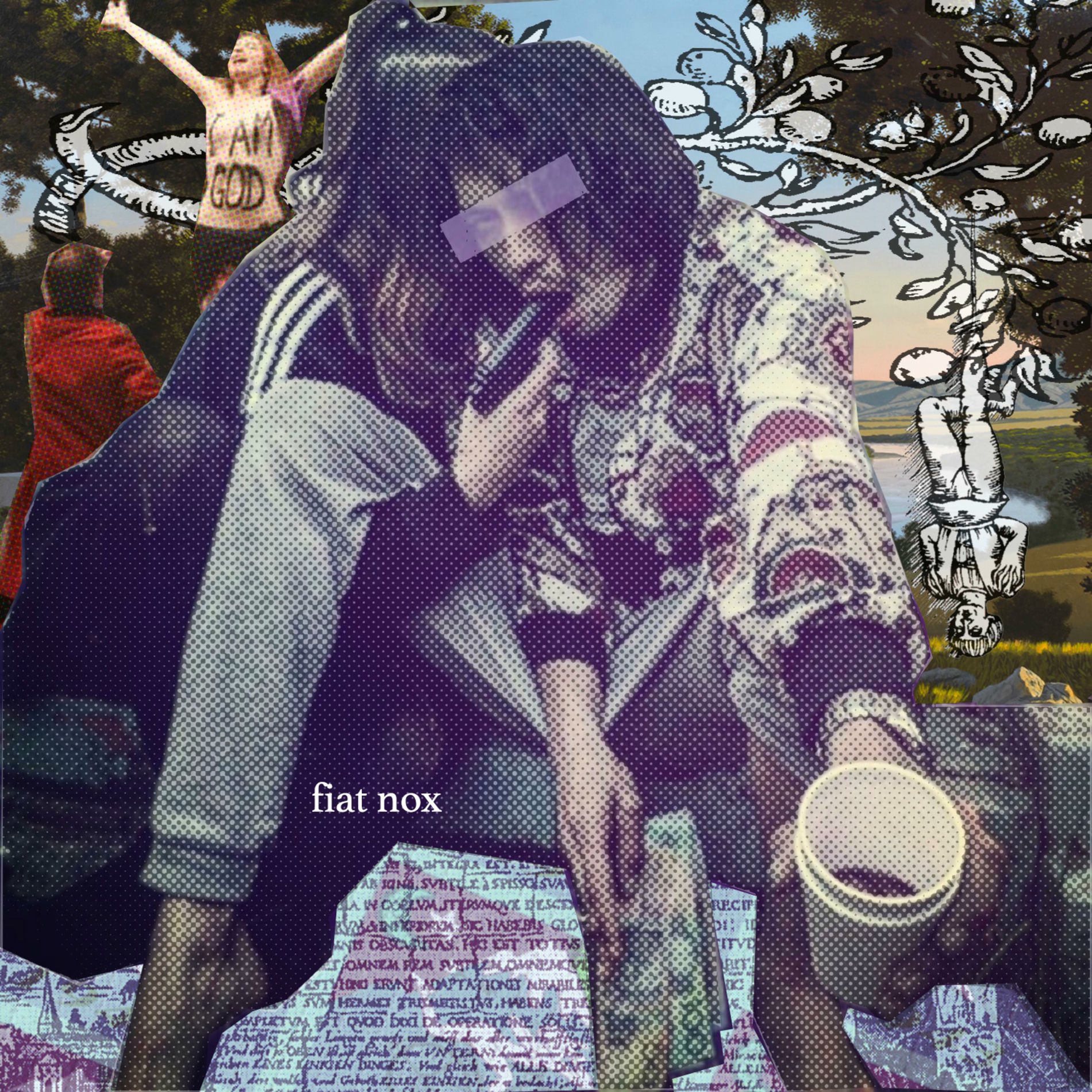 Album cover of Fiat NOX