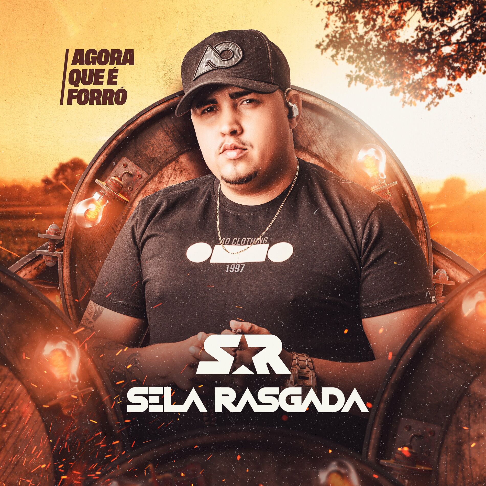 Album cover of Agora Que É Forró