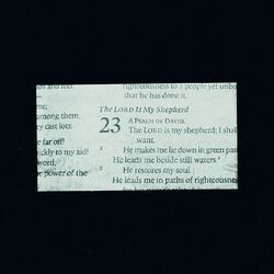 Cover of 23