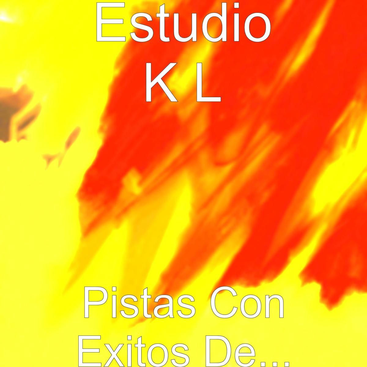 Album cover of Pistas Con Exitos De...