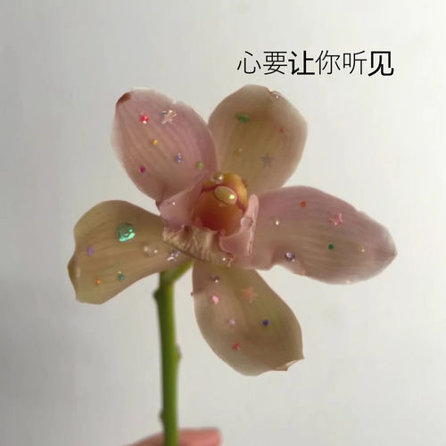 心要让你听见