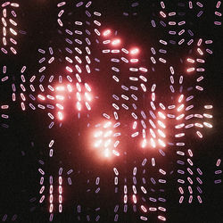 Pochette album