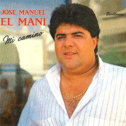 Cover of Mi Camino