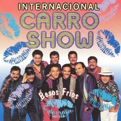 Cover of Besos Fríos