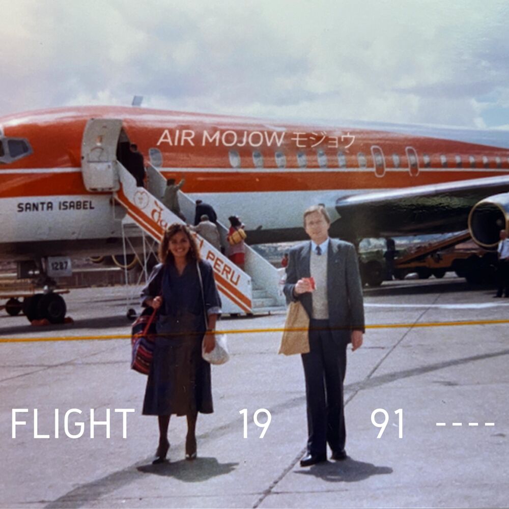 Picture of Flight 1991