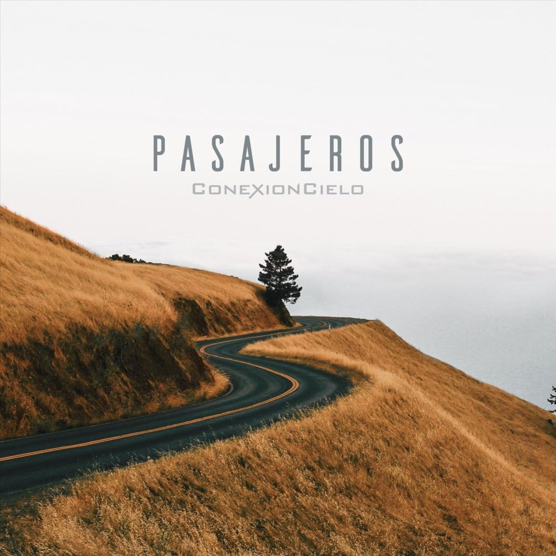 Album cover of Pasajeros